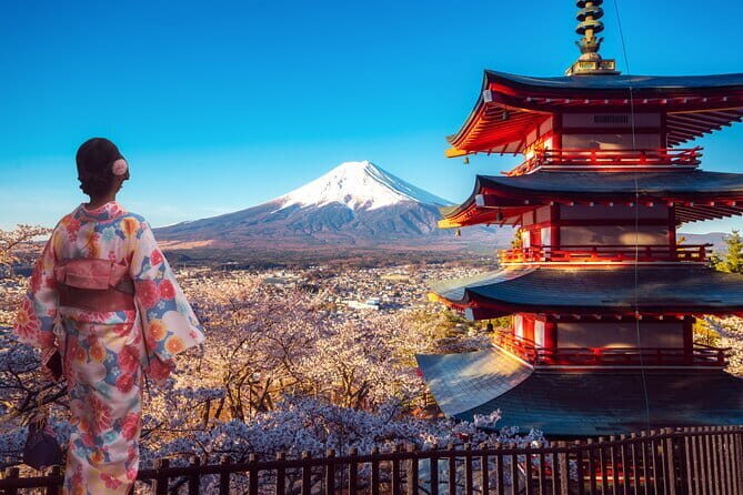 Mt Fuji Exploration Tour with Free Japanese Kusa Mochi from Tokyo - Oishi Park and the Seasonal Kawaguchiko Angle
