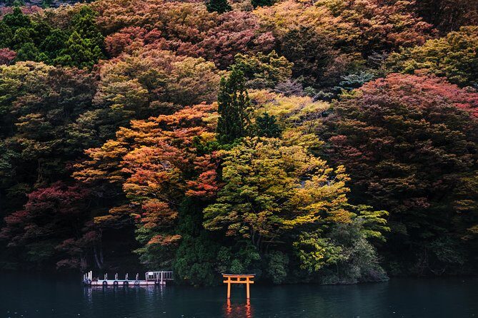Mt Fuji & Hakone Cruise, Drum Show Bullet Train 1 Day from Tokyo - Odawara Shinkansen to Tokyo: fast, simple, and a little tight