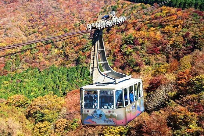 Mt Fuji & Hakone Cruise, Drum Show Bus 1 Day from Tokyo - Lake Ashi cruise: the classic Fuji reflection stop