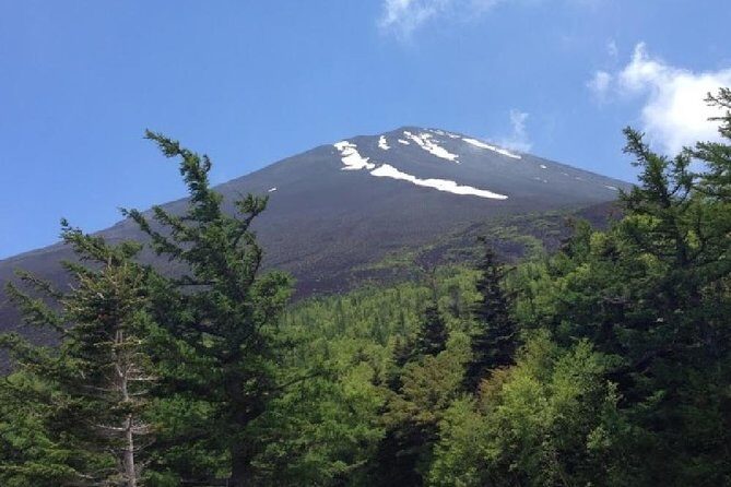 Mt Fuji & Hakone Cruise, Drum Show Bus 1 Day from Tokyo - Hakone Komagatake Ropeway: shrine views and summit time