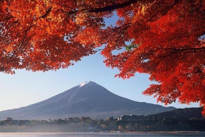 Mt Fuji & Hakone Cruise, Drum Show Bus 1 Day from Tokyo - The pace: great for variety, not for slow savoring