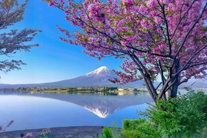 Mt fuji & Hakone customizable day tour w/ English speaking driver - Key Things That Make This Tour Worth Your Attention