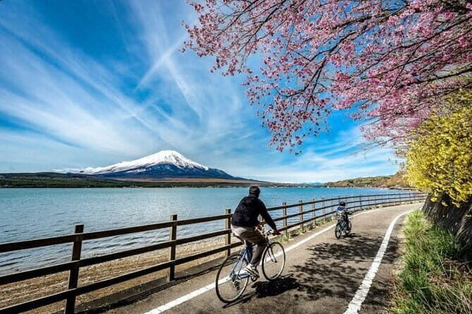 Mt fuji & Hakone customizable day tour w/ English speaking driver - Starting Smoothly in Tokyo: Pickup, Car Comfort, and WiFi