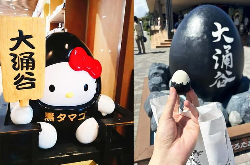 Mt Fuji Hakone/Enoshima Tour:Optional Ropeway/Lake Ashi Boat - Time, Pace, and What’s Realistically Left for Photos