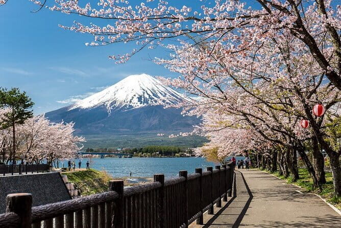 Mt Fuji, Hakone Private Tour by Car Pickup from Tokyo - Mt Fuji 5th Station at 2,300m: The View That Makes the Trip