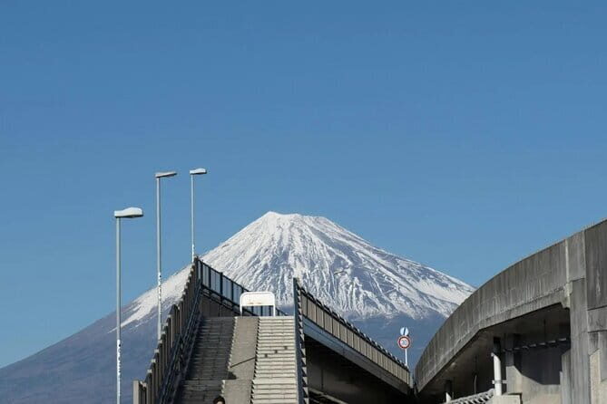 Mt Fuji, Hakone Private Tour by Car Pickup from Tokyo - Kitaguchi Hongu Fuji Sengen Jinja: Short, Quiet, and Forest-Framed