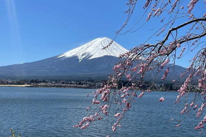 Mt Fuji, Hakone Private Tour by Car Pickup from Tokyo - From Lake Ashinoko to Hakone Ropeway: The Volcano to the Lake Change-Up