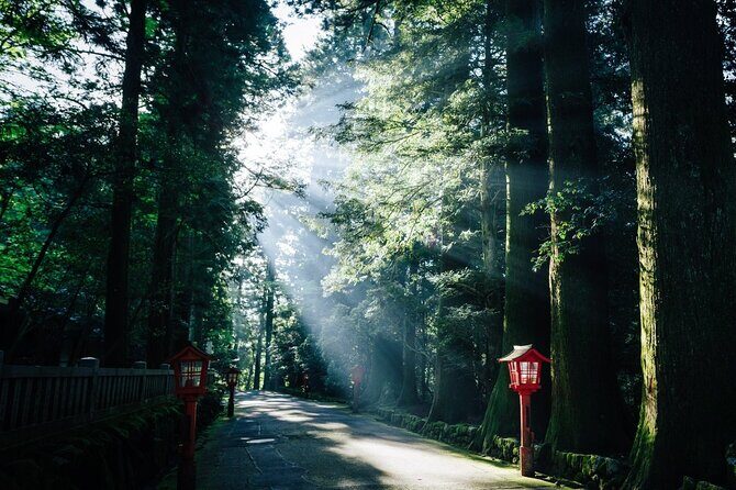 Mt. Fuji, Hakone Private Tour from Tokyo - Onsen, Arts and Nature - Lake Ashi and Hakone Shrine: Classic Hakone Moments, Well Timed