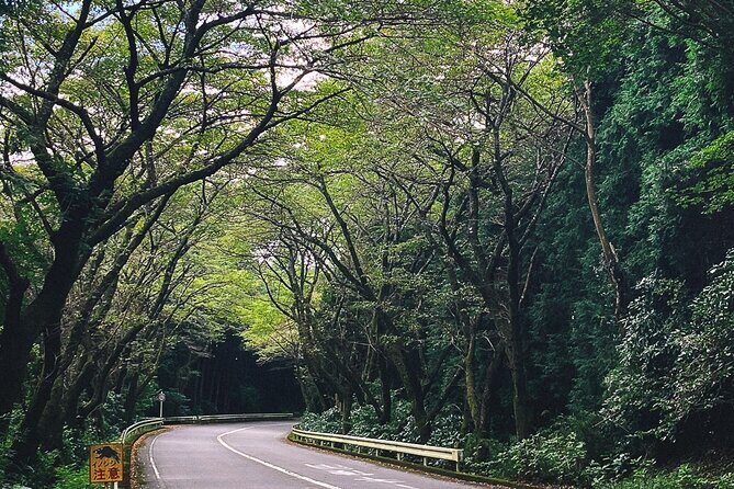 Mt. Fuji, Hakone Private Tour from Tokyo - Onsen, Arts and Nature - Onsen at Tenzan Tohji-kyo: Where the Day Turns Relaxed