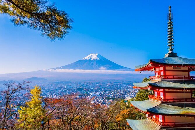Mt Fuji Private Day Trip from Tokyo with English Speaking Driver - Key things I’d zero in on