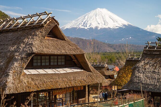 Mt Fuji Private Day Trip from Tokyo with English Speaking Driver - A 10-hour Fuji hit without Tokyo transit headaches