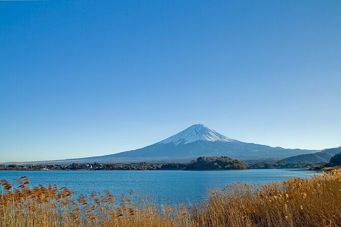 Mt Fuji Private Day Trip from Tokyo with English Speaking Driver - Stop-by-stop: from Oshino Hakkai ponds to Saiko villages