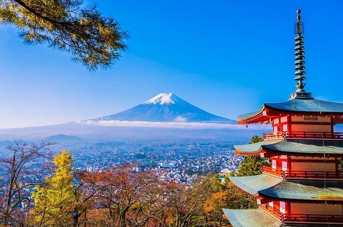 Mt Fuji Private Day Trip from Tokyo with English Speaking Driver - The ropeway moment: panoramic views, plus extra costs