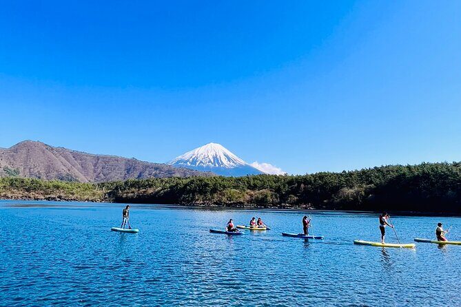 Mt Fuji Private Day Trip from Tokyo with English Speaking Driver - Price and value: what you’re paying for with up to 5 people
