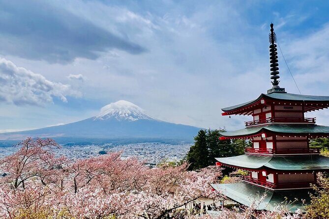 Mt Fuji Private Day Trip from Tokyo with English Speaking Driver - Weather, Mt. Fuji visibility, and how to plan your expectations