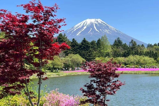 Mt Fuji Private Tour with English speaking driver - Key highlights worth knowing