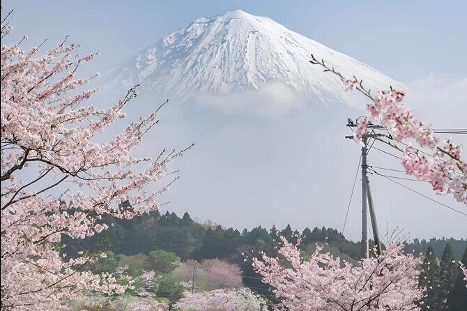 Mt Fuji Private Tour with English speaking driver - What you’re really paying $160 for