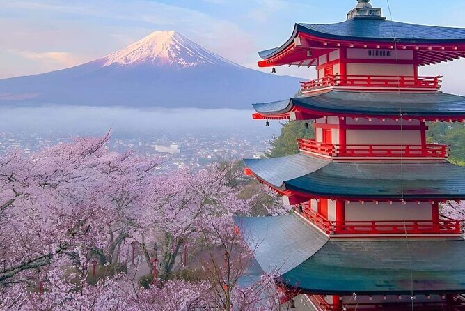 Mt Fuji Private Tour with English speaking driver - Arakura Fuji Sengen Shrine and Park: pagoda + Fuji framing