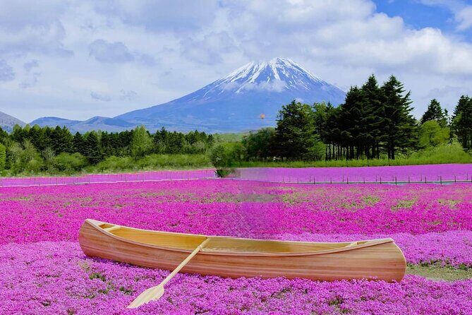 Mt Fuji Private Tour with English speaking driver - Mt. Fuji Panoramic Ropeway: optional, but it can add altitude-feel fast