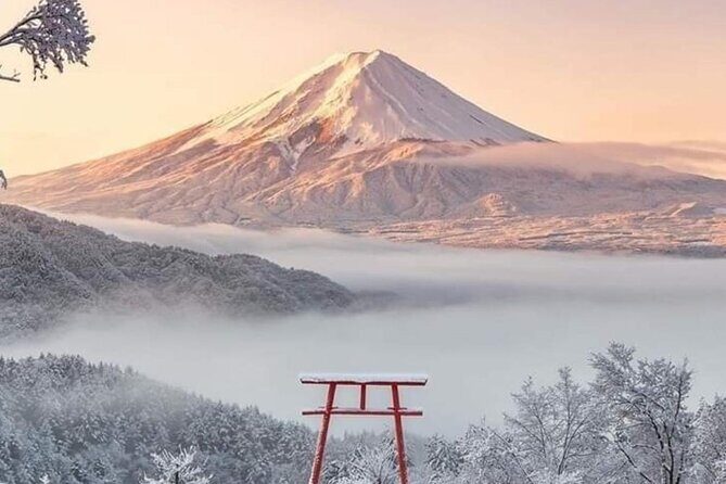 Mt Fuji Private Tour with English speaking driver - Oishi Park and Lake Kawaguchiko: lake views without overplanning