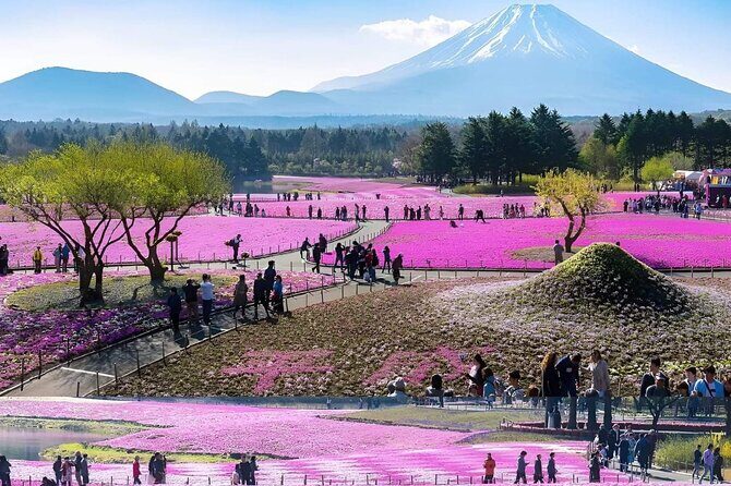 Mt Fuji Private Tour with English speaking driver - Kitaguchi Hongu Fuji Sengen Jinja: a UNESCO-linked shrine stop