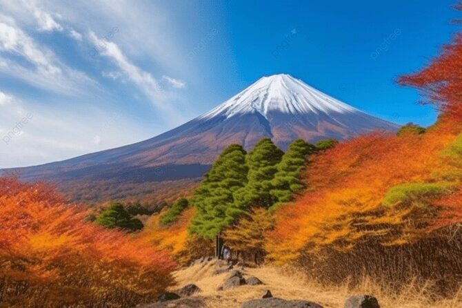 Mt Fuji Private Tour with Native Japanese Driver - Private car convenience: why this tour feels easier than DIY