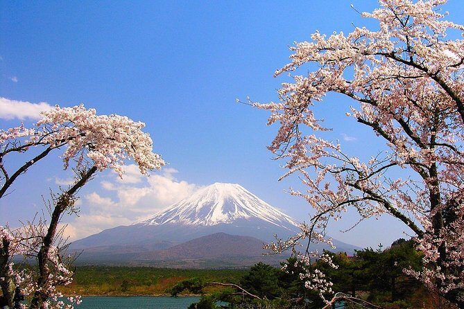 Mt Fuji Private Tour with Native Japanese Driver - Oshino Hakkai: eight ponds that feel different from the big viewpoints