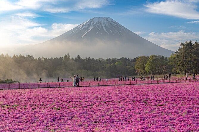 Mt Fuji Tour with Japanese Local Guide on Private Car from Tokyo - Pickup-to-Scenery: Timing, Car Size, and Itinerary Flexibility