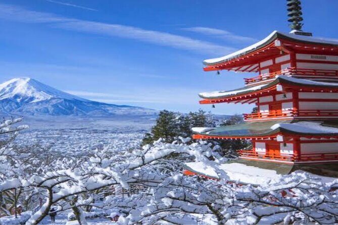 MT FUJI with Private Tour - Key highlights you’ll actually feel on this tour