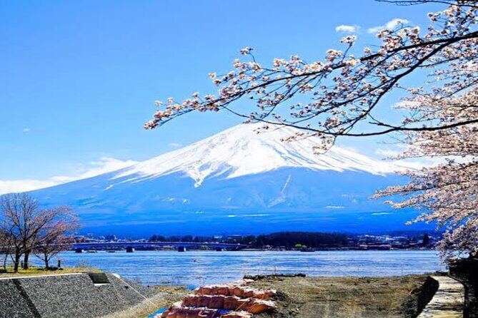 MT FUJI with Private Tour - Lake Yamanaka + Hananomiyako Flower Park: bigger lake views