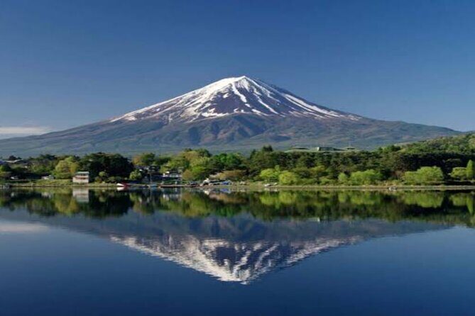 MT FUJI with Private Tour - Narusawa Ice Cave: the cold, lava-formed stop that changes the mood
