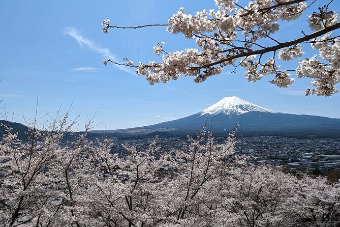 Private Car Tour to Mt. Fuji Lake Kawaguchiko or Hakone - The Highlights That Make This Tour Feel Premium