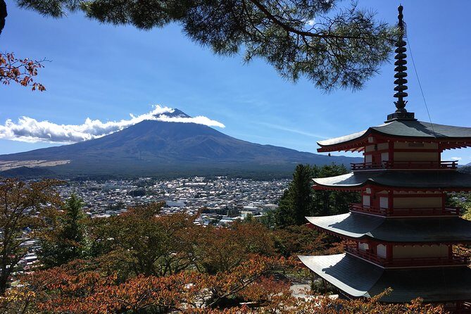 Private Car Tour to Mt. Fuji Lake Kawaguchiko or Hakone - Mt. Fuji World Heritage Center: Learn the Why Behind the Photo