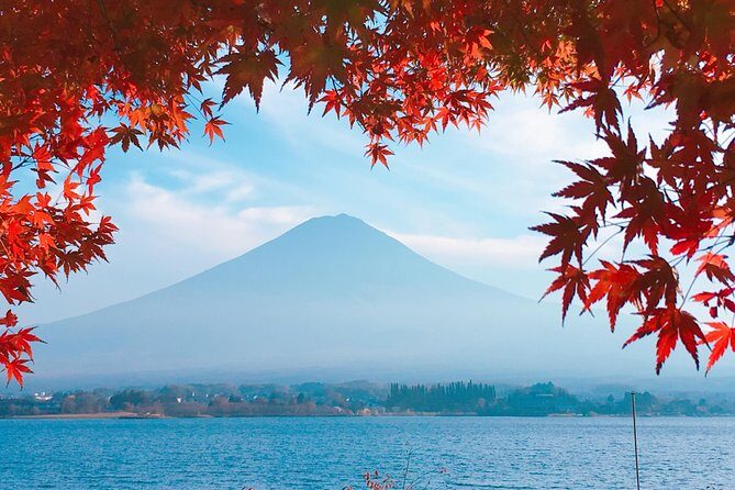 Private Car Tour to Mt. Fuji Lake Kawaguchiko or Hakone - Lake Kawaguchiko Highlights: Shrines, Flowers, Ice Cream, and Oshino Hakkai