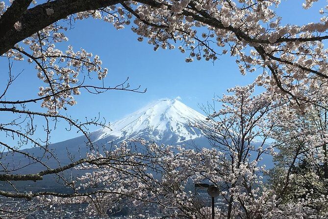 Private Car Tour to Mt. Fuji Lake Kawaguchiko or Hakone - Caves, Ropeway, and Aokigahara: When You Want Adventure, Not Just Views