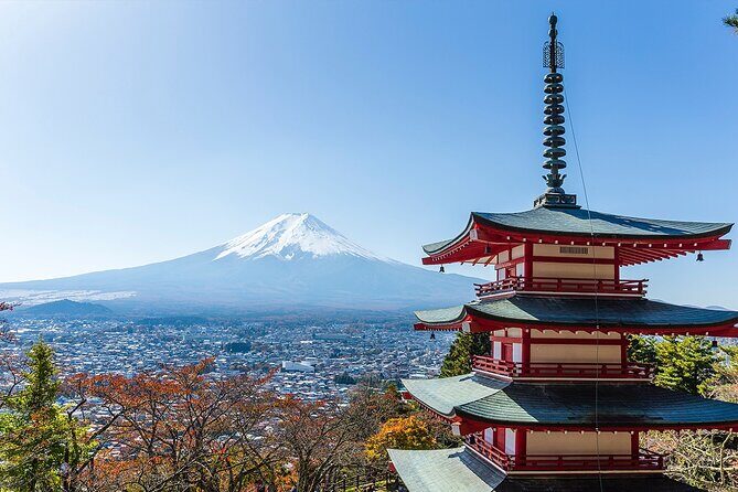 Private Mount Fuji and Hakone City Tour In luxury car from Tokyo - Fuji Safari Park: animals, space, and a different kind of Mount Fuji day