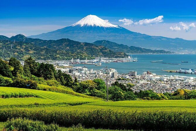 Private Mount Fuji Tour in Luxury Vehicle with English Guide - Stop 4: Oshino Hakkai’s eight ponds between the lakes