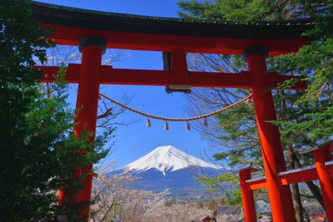 Private Mount Fuji Tour in Luxury Vehicle with English Guide - Stop 5: Oishi Park for seasonal flower walks and lake-Mt. Fuji views