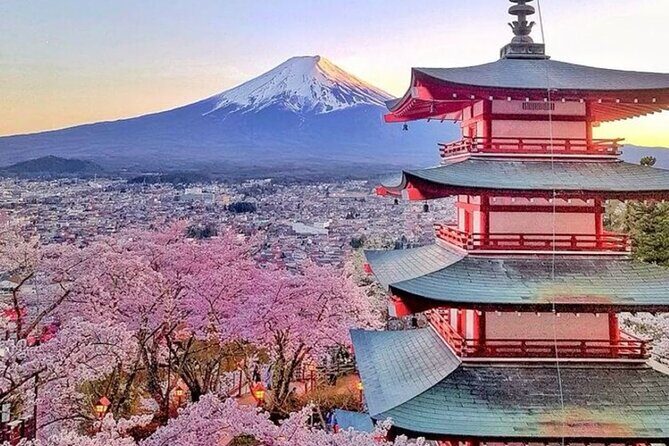 Private Mount Fuji Tour in Luxury Vehicle with English Guide - Stop 6: Kitaguchi Hongu Fuji Sengen Jinja for Mt. Fuji shrine culture