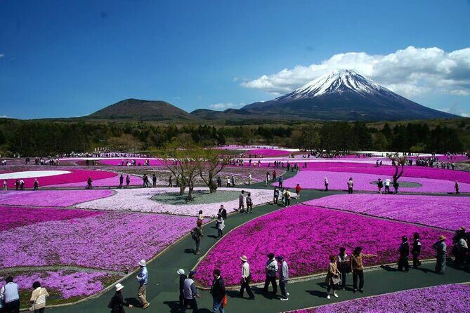 Private Mount Fuji Tour in Luxury Vehicle with English Guide - Stop 1: Mt. Fuji Subaru Line 5th Station (about 2200m) for the closest road-access views
