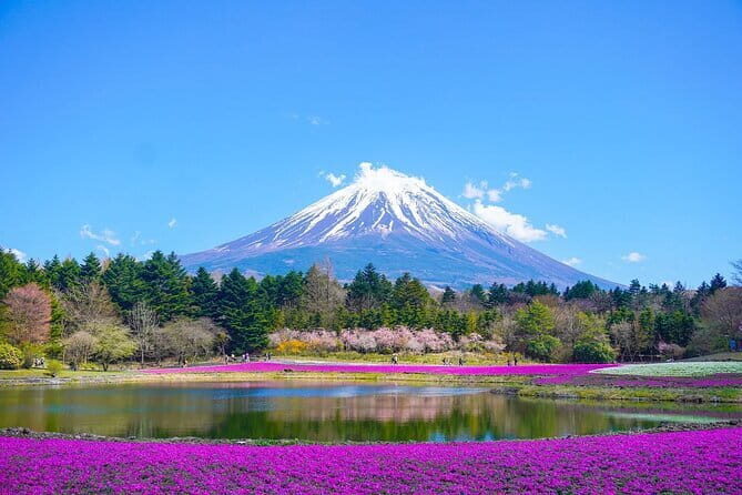 Private Mount Fuji Tours with Car Pickup from Tokyo - Key things to know before you go
