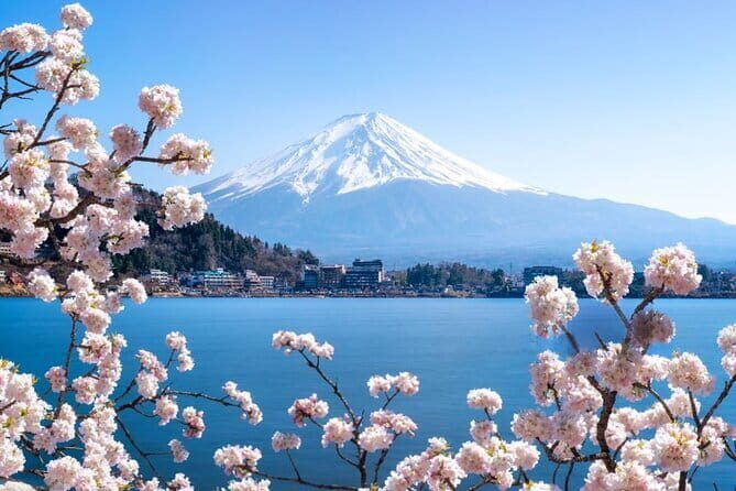 Private Mount Fuji Tours with Car Pickup from Tokyo - Lake Kawaguchiko: where lunch is easy and optional rides add variety