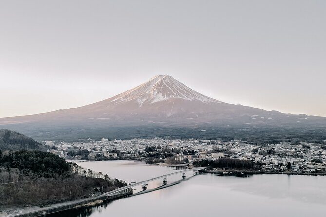Private Mt Fuji, Hakone and Tokyo Tour - English Speaking Driver - Private door-to-door comfort and what you pay for