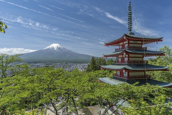 Private Mt Fuji, Hakone and Tokyo Tour - English Speaking Driver - Weather, tickets, and how to plan your expectations like a pro