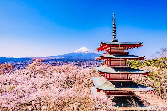Private Sightseeing to Mt Fuji and Hakone with English Driver - Key reasons this private Fuji/Hakone day trip works