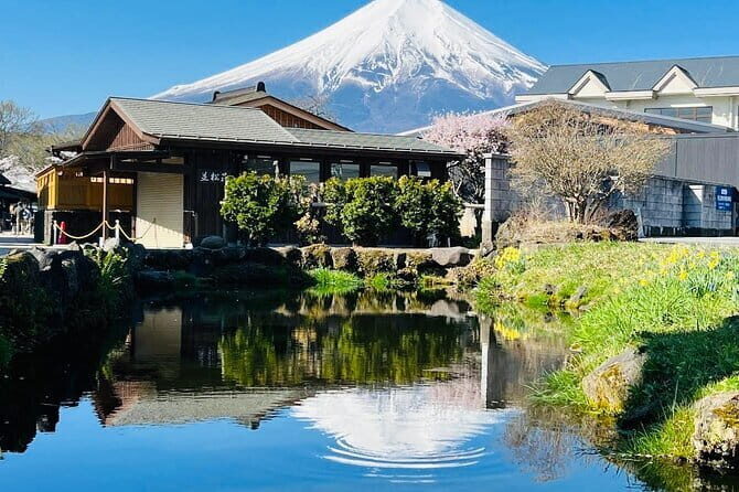 Private Sightseeing to Mt Fuji and Hakone with English Driver - A private English-driver day trip that keeps your day on your terms