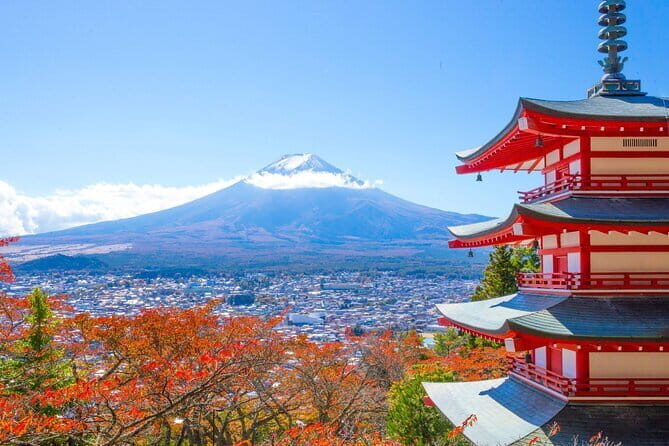 Private Sightseeing to Mt Fuji and Hakone with English Driver - Oishi Park and the seasonal flower walk you can actually plan around