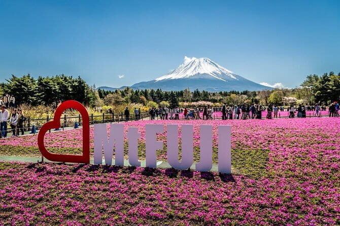 Private Sightseeing to Mt Fuji and Hakone with English Driver - Lake Kawaguchiko: ropeway viewpoints and the hot-spring reset