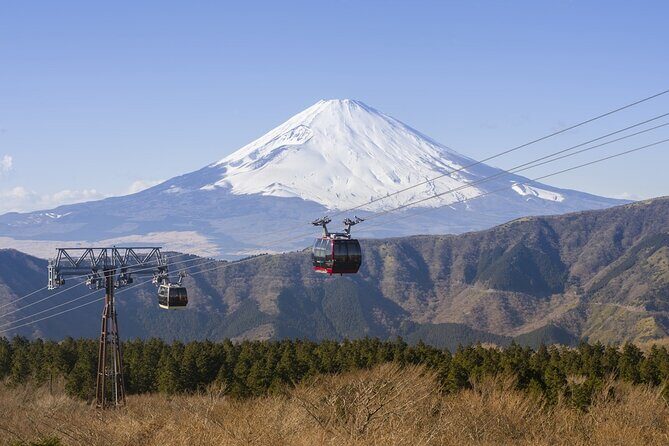Private tour to Mount Fuji and Hakone from Tokyo - Lake Kawaguchiko and Oishi Park: the Fuji Five Lakes time slot that matters