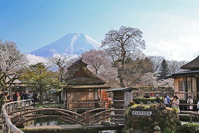 Private tour to Mount Fuji and Hakone from Tokyo - Chureito Pagoda and Arakurayama Sengen Park: the iconic frame shot